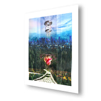 Imagine the World Twisting a New Way –– Photomontage –– Aluminum & Archival Paper Prints
